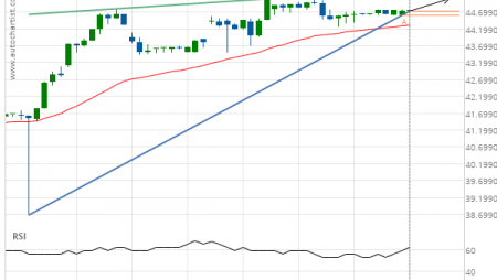 Exxon Mobil Corp. (XOM) up to 45.09